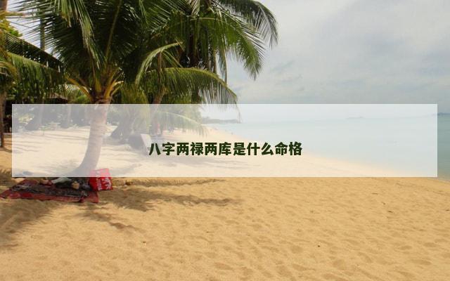 八字两禄两库是什么命格