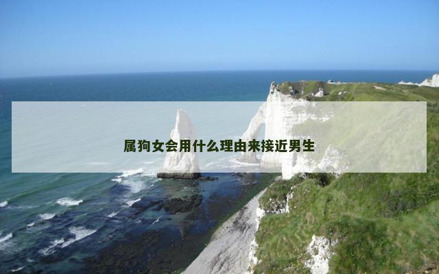 属狗女会用什么理由来接近男生