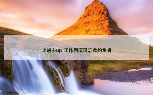上进心up 工作到废寝忘食的生肖