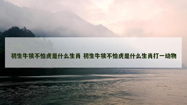 初生牛犊不怕虎是什么生肖 初生牛犊不怕虎是什么生肖打一动物 初生牛犊不怕虎是什么生肖 初生牛犊不怕虎是什么生肖打一动物