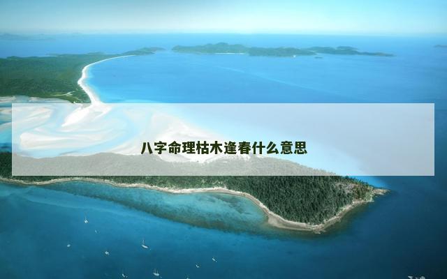 八字命理枯木逢春什么意思
