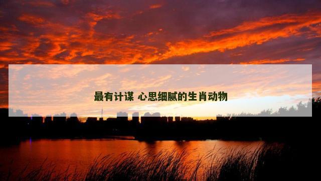 最有计谋 心思细腻的生肖动物