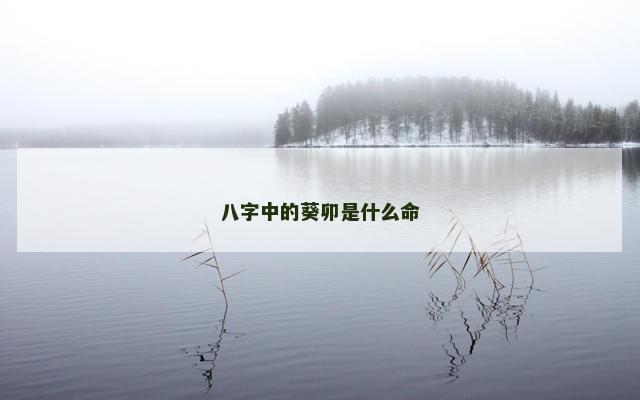 八字中的葵卯是什么命