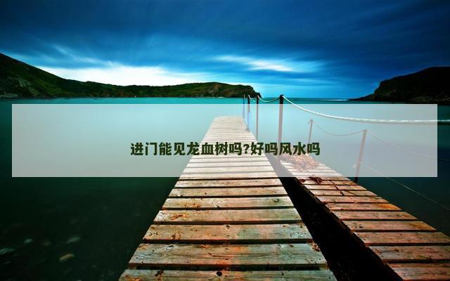 进门能见龙血树吗?好吗风水吗