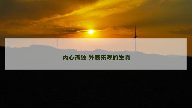 内心孤独 外表乐观的生肖