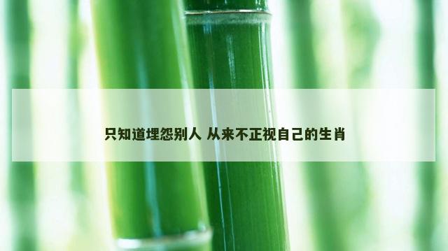 只知道埋怨别人 从来不正视自己的生肖