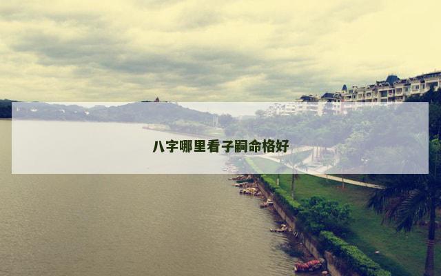 八字哪里看子嗣命格好