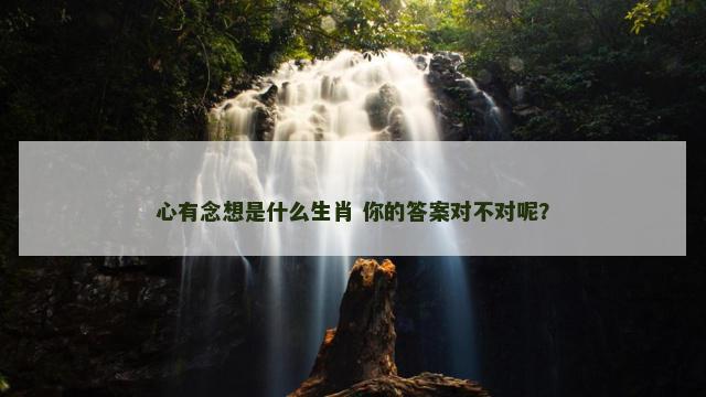 心有念想是什么生肖 你的答案对不对呢？
