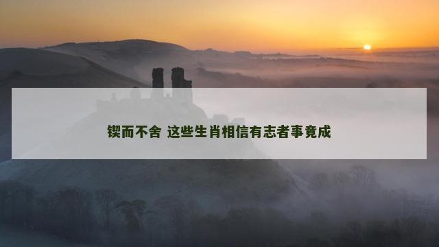 锲而不舍 这些生肖相信有志者事竟成