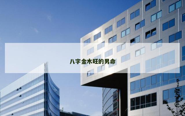 八字金木旺的男命