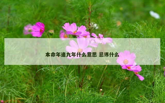 本命年逢九年什么意思 忌讳什么