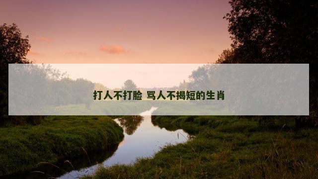 打人不打脸 骂人不揭短的生肖