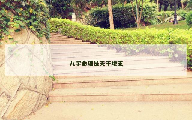 八字命理是天干地支