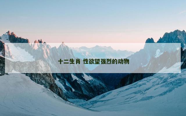 十二生肖 性欲望强烈的动物