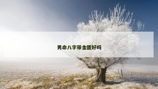 男命八字带金匮好吗