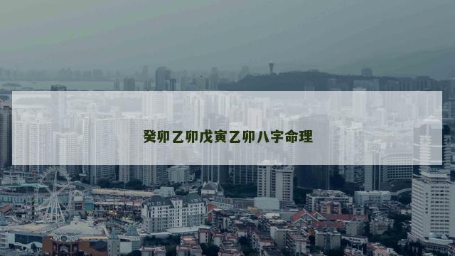 癸卯乙卯戊寅乙卯八字命理