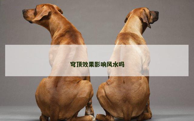 穹顶效果影响风水吗