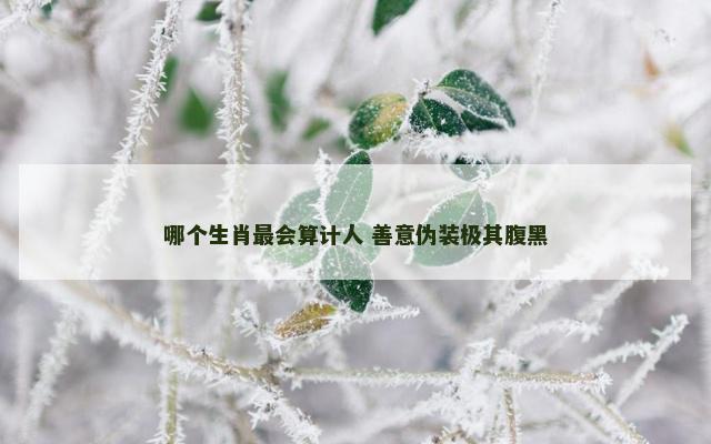 哪个生肖最会算计人 善意伪装极其腹黑
