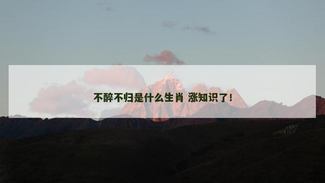 不醉不归是什么生肖 涨知识了！