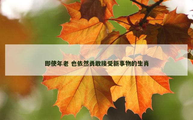 即使年老 也依然勇敢接受新事物的生肖