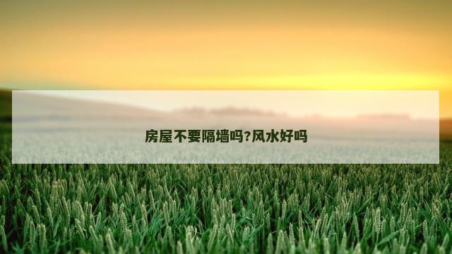 房屋不要隔墙吗?风水好吗