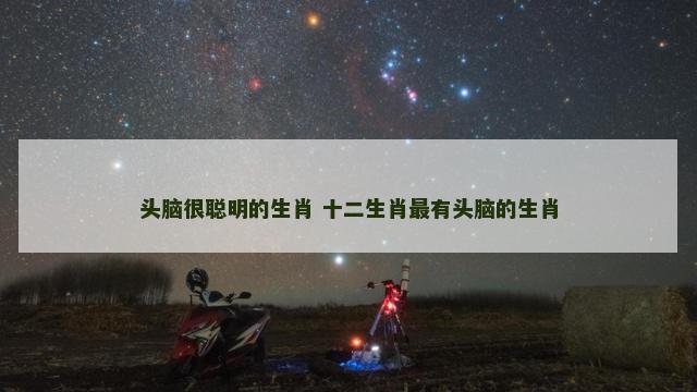 头脑很聪明的生肖 十二生肖最有头脑的生肖