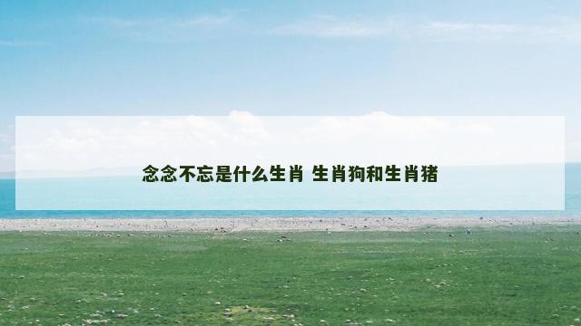 念念不忘是什么生肖 生肖狗和生肖猪