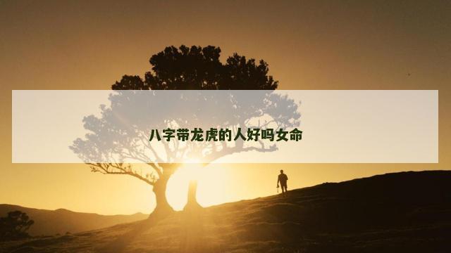 八字带龙虎的人好吗女命