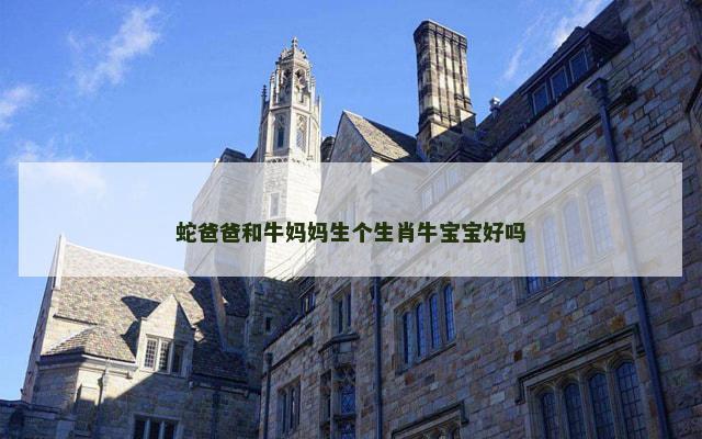 蛇爸爸和牛妈妈生个生肖牛宝宝好吗