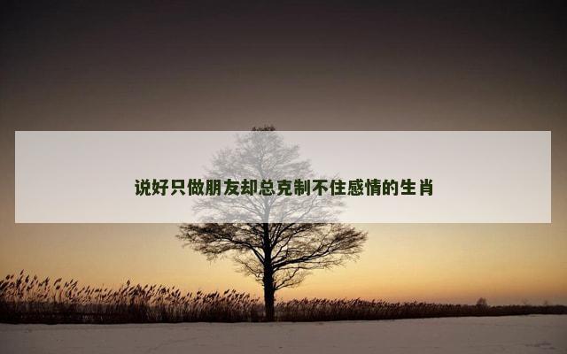说好只做朋友却总克制不住感情的生肖