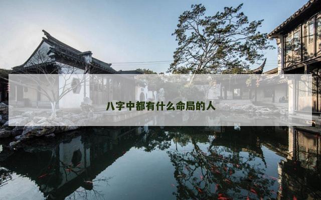 八字中都有什么命局的人