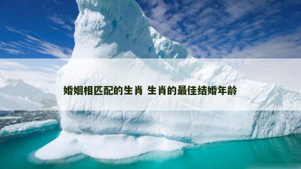婚姻相匹配的生肖 生肖的最佳结婚年龄
