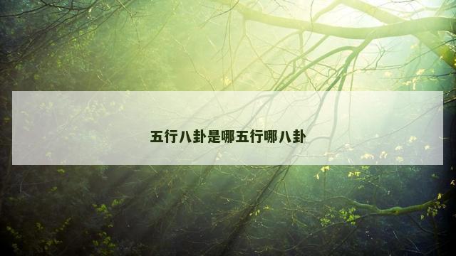 五行八卦是哪五行哪八卦