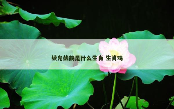 续凫截鹤是什么生肖 生肖鸡