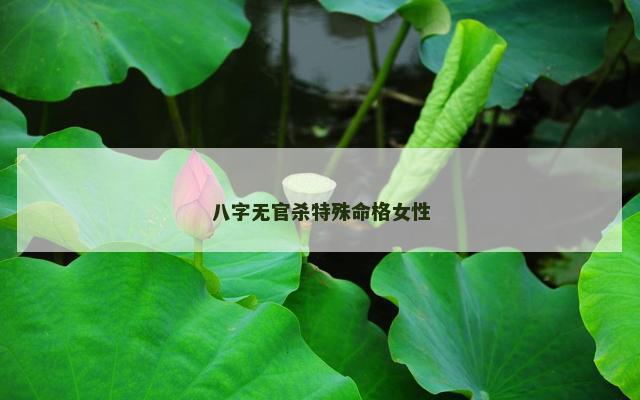 八字无官杀特殊命格女性