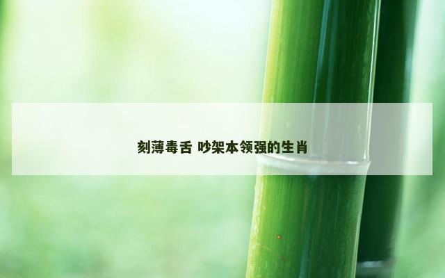 刻薄毒舌 吵架本领强的生肖
