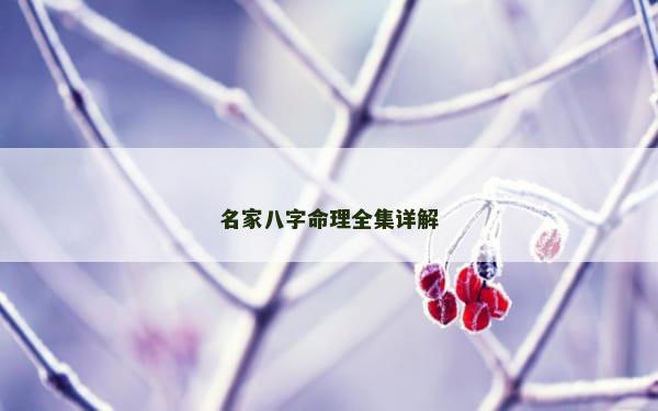名家八字命理全集详解