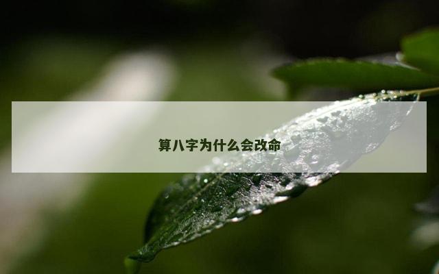 算八字为什么会改命