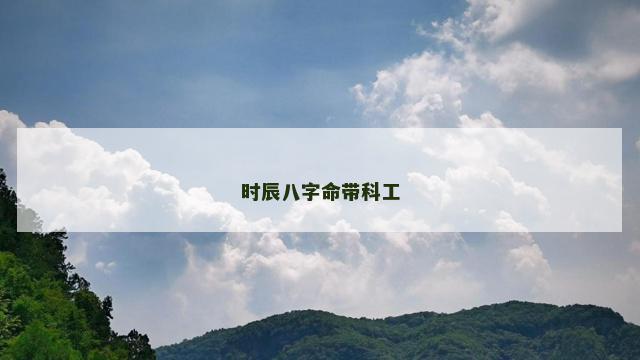 时辰八字命带科工