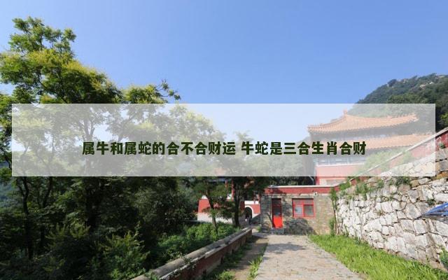 属牛和属蛇的合不合财运 牛蛇是三合生肖合财