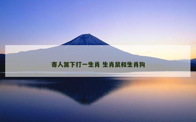 寄人篱下打一生肖 生肖鼠和生肖狗