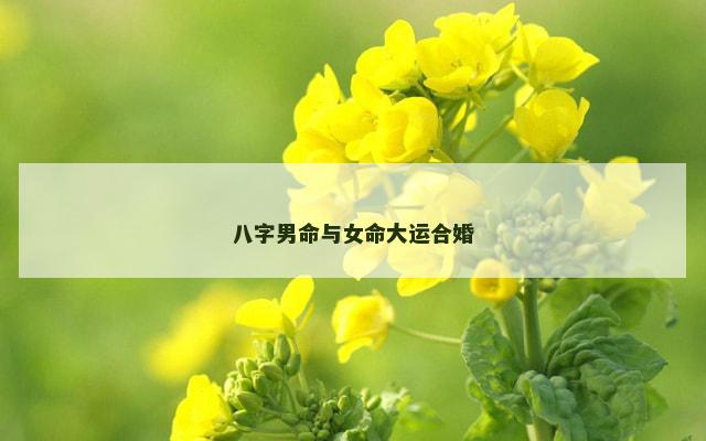 八字男命与女命大运合婚