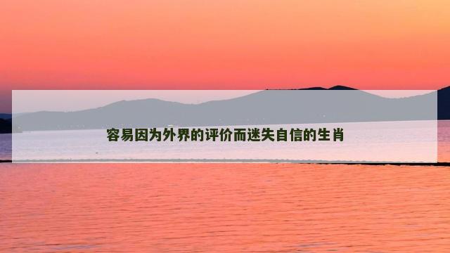 容易因为外界的评价而迷失自信的生肖