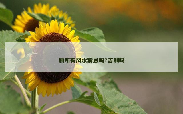 厕所有风水禁忌吗?吉利吗