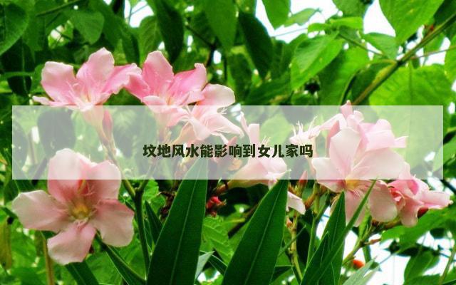 坟地风水能影响到女儿家吗