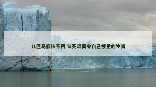 八匹马都拉不回 认死理而令自己疲惫的生肖