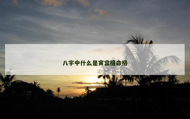 八字中什么是寅宫格命格