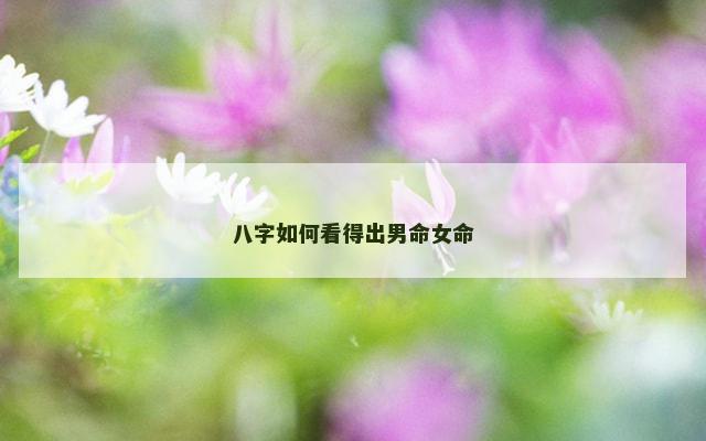 八字如何看得出男命女命