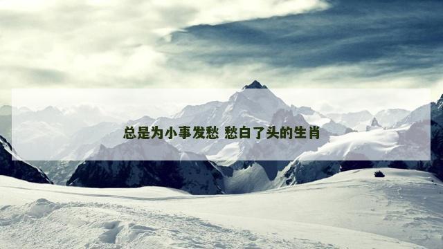 总是为小事发愁 愁白了头的生肖