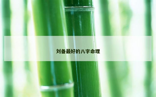 刘备最好的八字命理